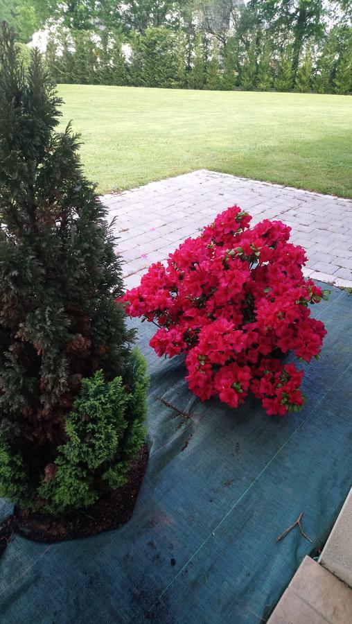 Bed and Breakfast Le Petit Etang La Trinite-Surzur Екстер'єр фото